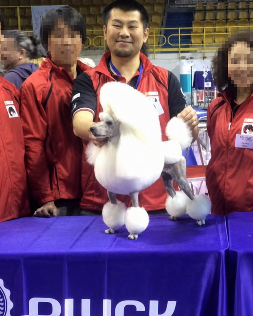 World Team Grooming Championship2015イタリア大会個人2位宮崎大